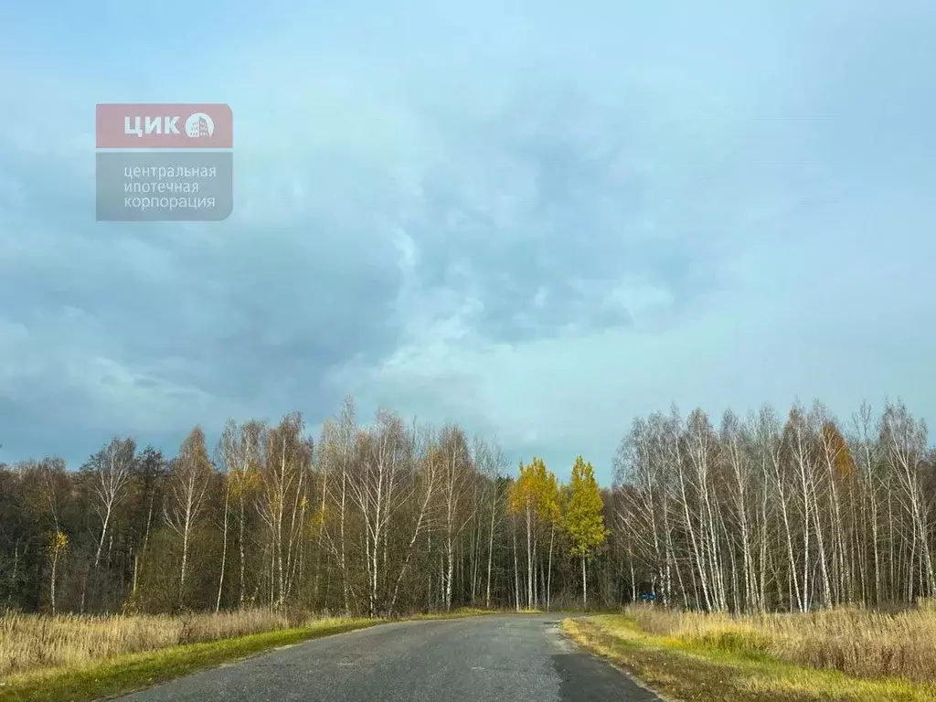 Дом в Рязанская область, Спасский муниципальный округ, с. Засечье ул. ... - Фото 2