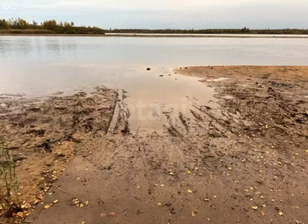 Участок в Доможировское сельское поселение, деревня Горловщина (500 м) - Фото 1