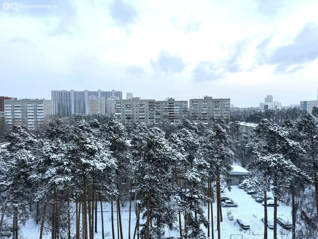 3-комнатная квартира: Екатеринбург, Белореченская улица, 29 (57.2 м) - Фото 2