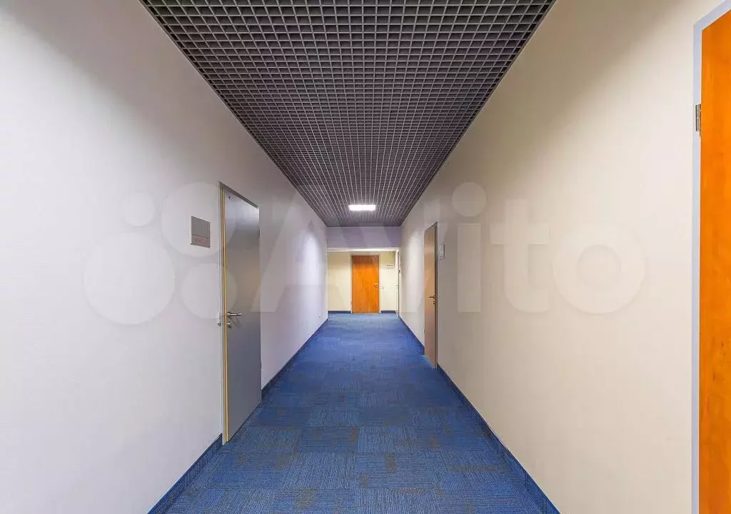 Свободного назначения, 55 м - Фото 1