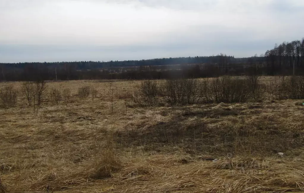 Участок в Калужская область, Мещовск городское поселение, д. ... - Фото 0