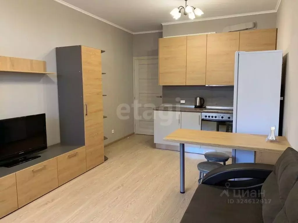 Студия Санкт-Петербург Комендантский просп., 62 (24.8 м) - Фото 1