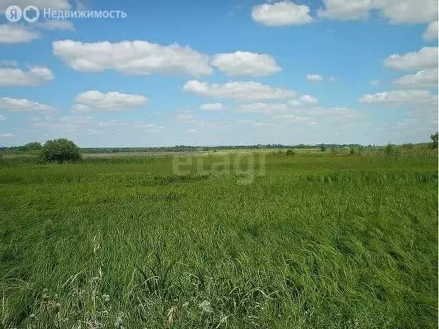 Участок в Тюменская область, Казанский муниципальный округ, деревня ... - Фото 2