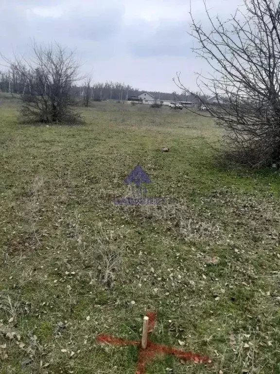 Участок в Ростовская область, Цимлянский район, Лозновское с/пос, ... - Фото 1