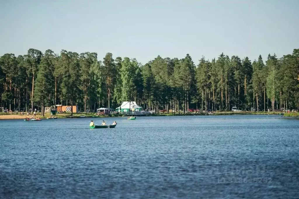 Участок в Ленинградская область, Всеволожский район, Колтушское ... - Фото 2