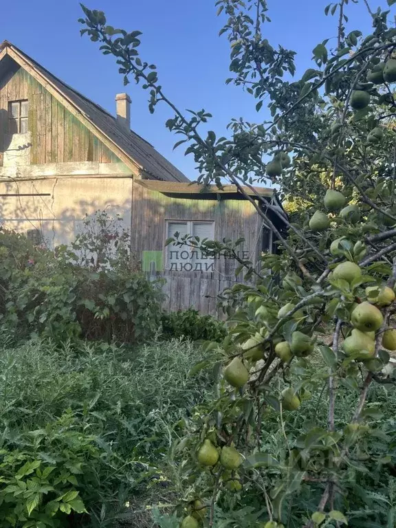 Дом в Севастополь Сапун-гора СНТ, 1248 (45 м) - Фото 1