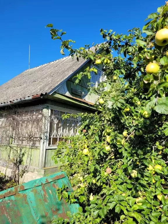 Дом в Ленинградская область, Кировский район, Синявинское городское ... - Фото 0