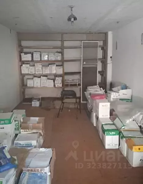 Гараж в Еврейская автономная область, Биробиджан ул. Горького, 20 (20 ... - Фото 1