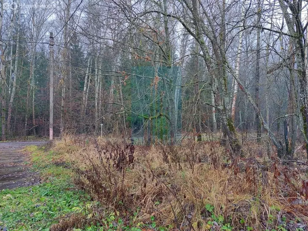 Участок в Москва, ТАО, район Вороново, СНТ Тетеринки (5.98 м) - Фото 1