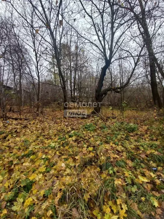 Участок в Владимирская область, Струнино Александровский район, ул. ... - Фото 1