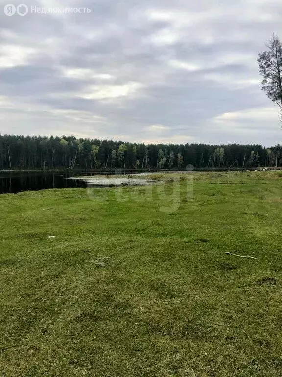 Участок в Ордынский район, село Вагайцево (6212.12 м) - Фото 1