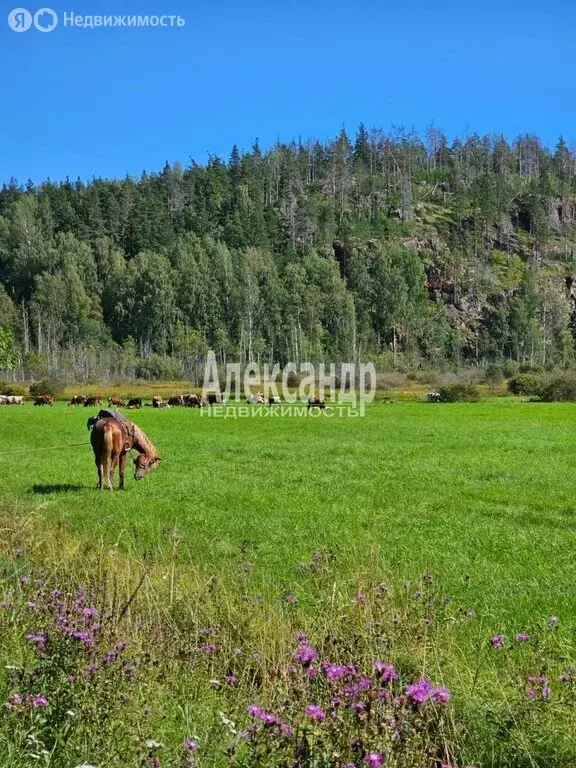 Участок в Республика Карелия, Лахденпохский муниципальный округ, ... - Фото 1