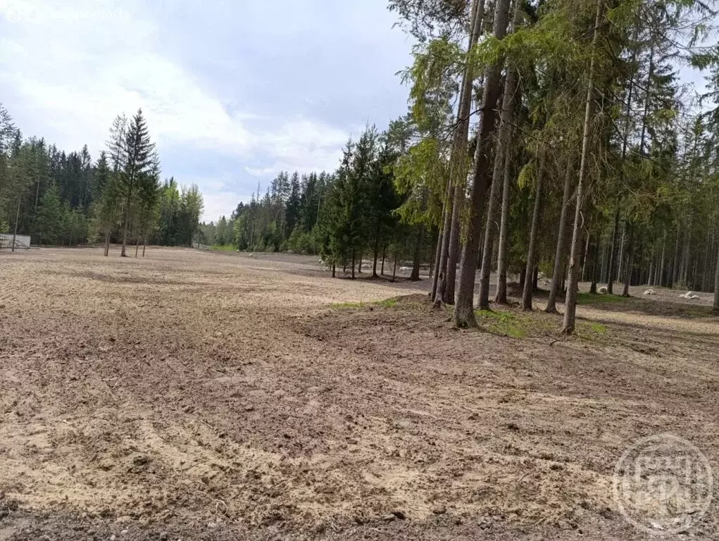Участок в городской посёлок Рощино, Круговая улица (12 м) - Фото 0