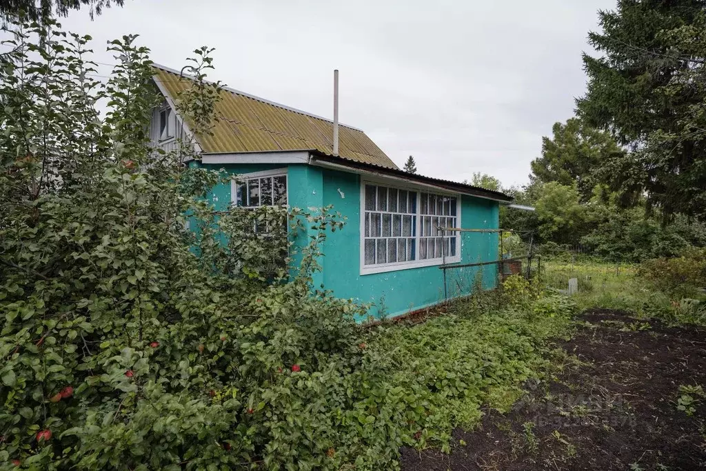 Дом в Омская область, Омск СОСН Рябинка тер., 35 (50 м) - Фото 1