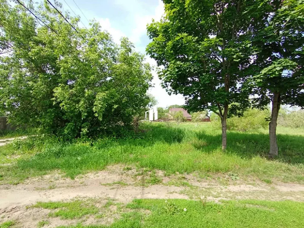 Продается участок в д. Рыжево - Фото 2