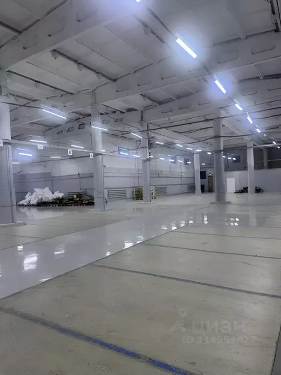 Склад в Смоленская область, Смоленск Индустриальная ул., 9А1 (2500 м) - Фото 1