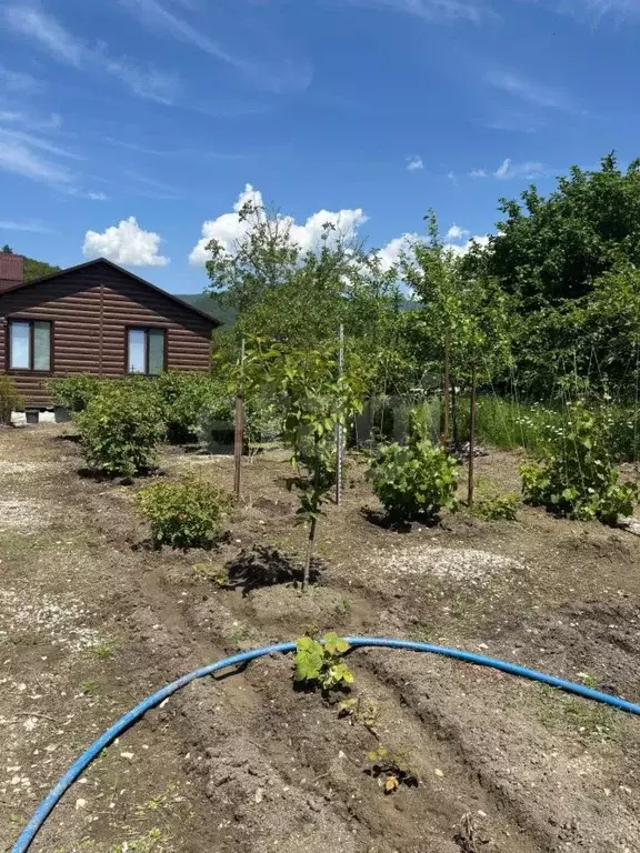 Дом в Краснодарский край, Геленджик городской округ, с. Прасковеевка  ... - Фото 2