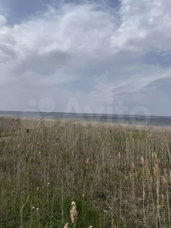 Участок 36 сот. (СНТ, ДНП) - Фото 0