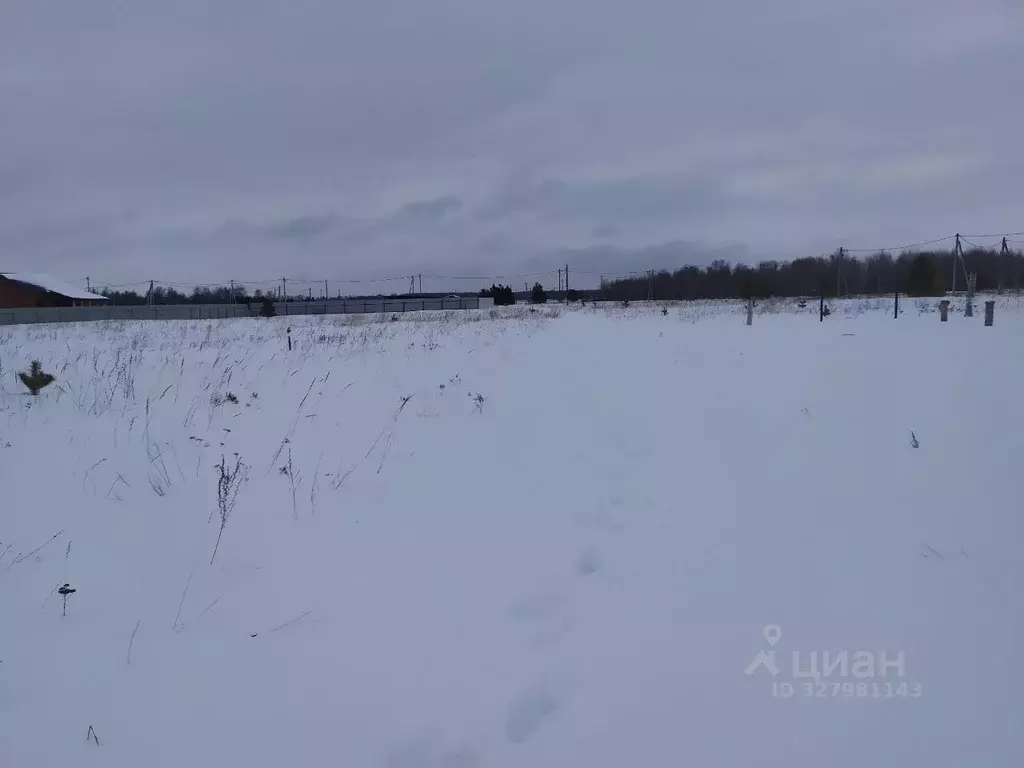 Участок в Самарская область, Красный Яр с/пос, пос. Кириллинский, ... - Фото 2