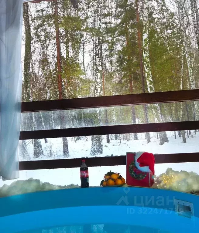 Дом в Алтайский край, Первомайский район, пос. Покровка  (300 м) - Фото 2