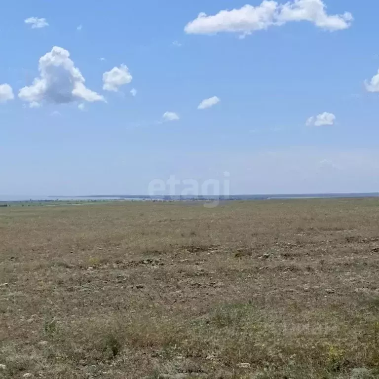 Участок в Крым, Черноморский район, с. Окуневка  (100.0 сот.) - Фото 1