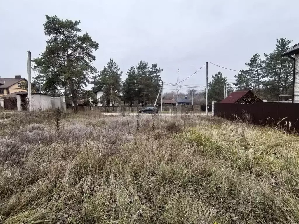 Участок в Воронежская область, Рамонский район, с. Ямное Набережная ... - Фото 1