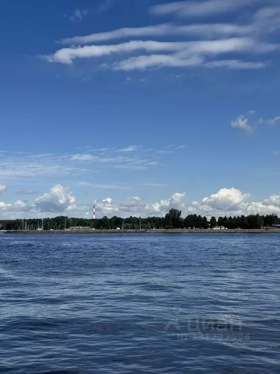 2-к кв. Санкт-Петербург Морская наб., 43К1 (49.1 м) - Фото 1