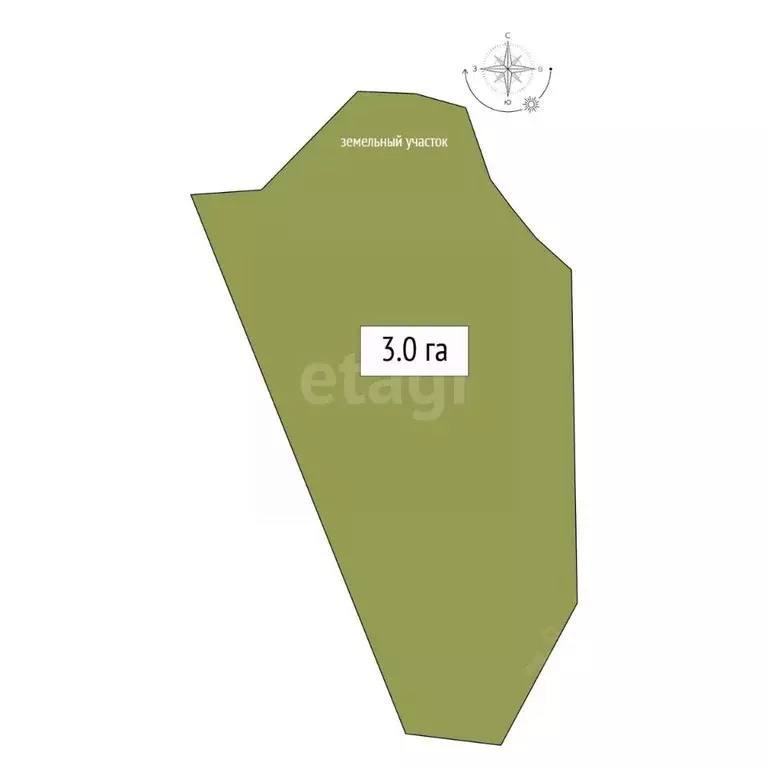 Участок в Алтай, Чемальский район, Элекмонарское с/пос, с. Элекмонар ... - Фото 1