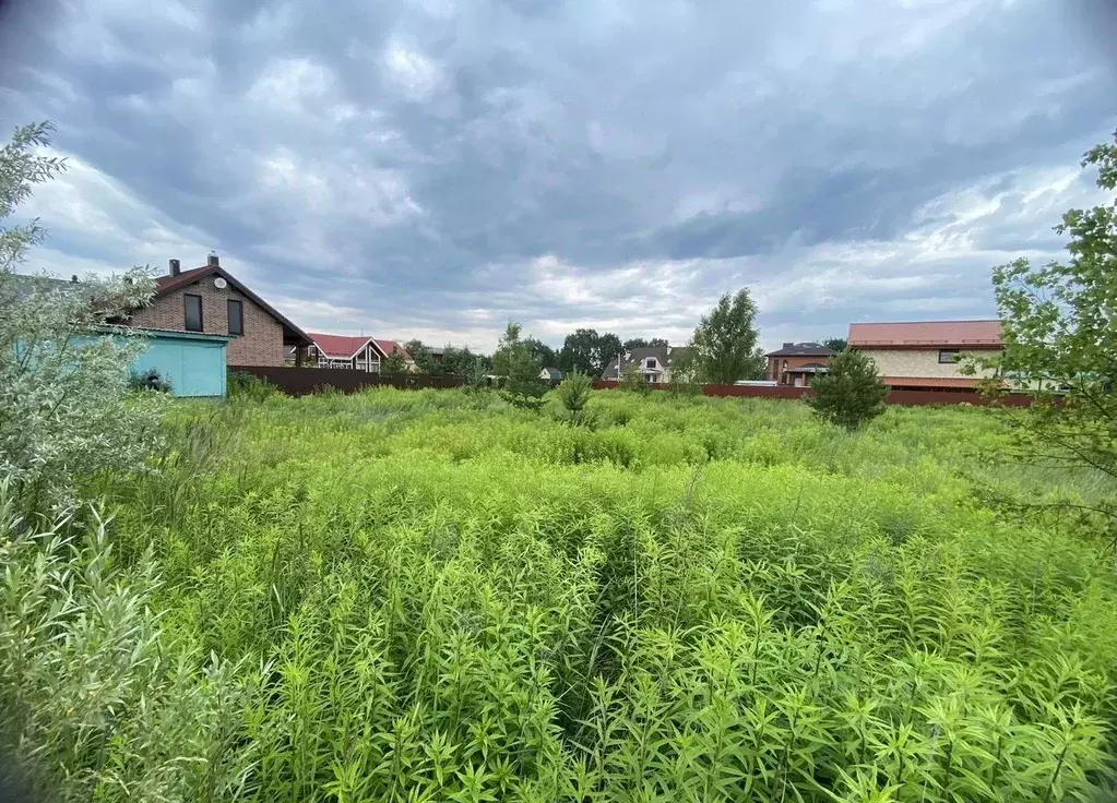 Участок в Московская область, Богородский городской округ, д. Калитино ... - Фото 2
