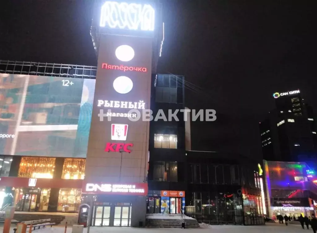 Торговая площадь в Новосибирская область, Новосибирск пл. Карла ... - Фото 1