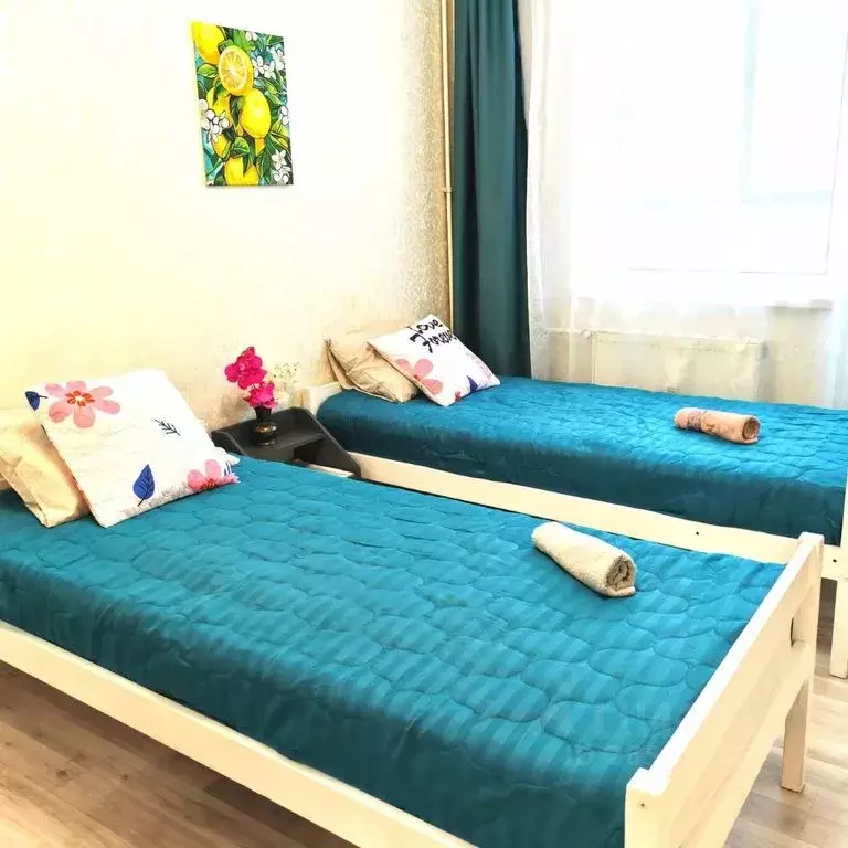 Студия Ленинградская область, Сертолово Всеволожский район, ул. ... - Фото 2