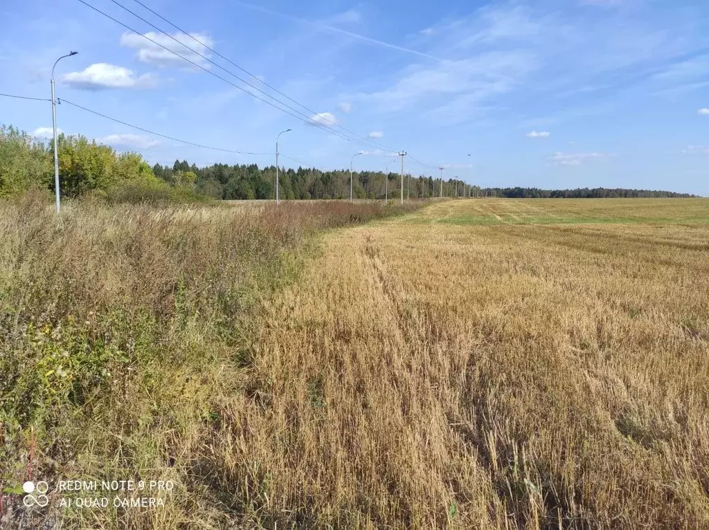 Участок в Москва № 248 кв-л,  (6.0 сот.) - Фото 2