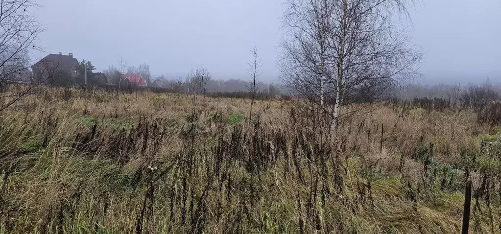 Участок в Московская область, Луховицы муниципальный округ, д. Берхино ... - Фото 1