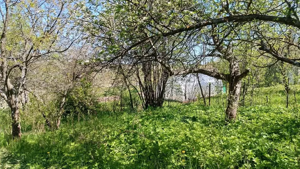 Дом в Нижегородская область, Кстовский муниципальный округ, с. ... - Фото 0