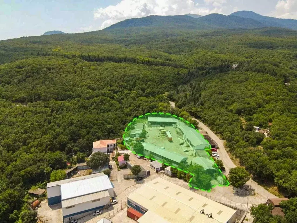 Участок в Крым, Алушта муниципальный округ, с. Виноградное  (57.51 ... - Фото 1