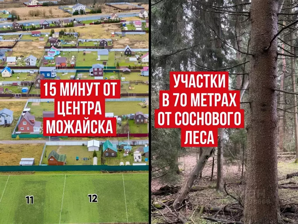 Участок в Московская область, Можайский муниципальный округ, Форест ... - Фото 1