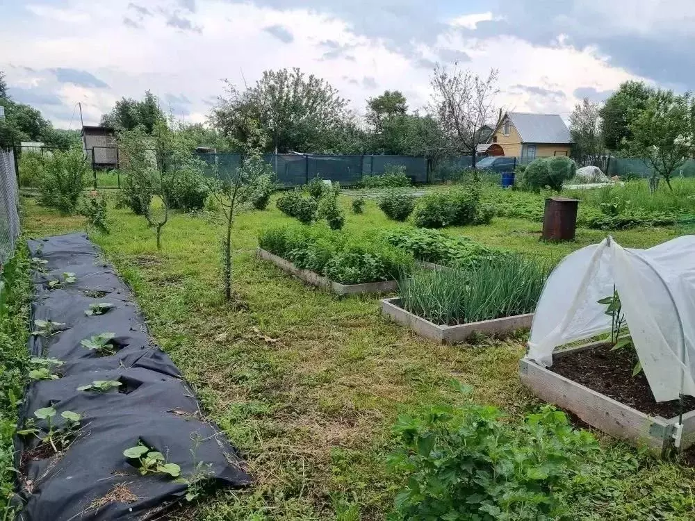 Дом в Костромская область, Кострома Дубки садоводческое товарищество, ... - Фото 2