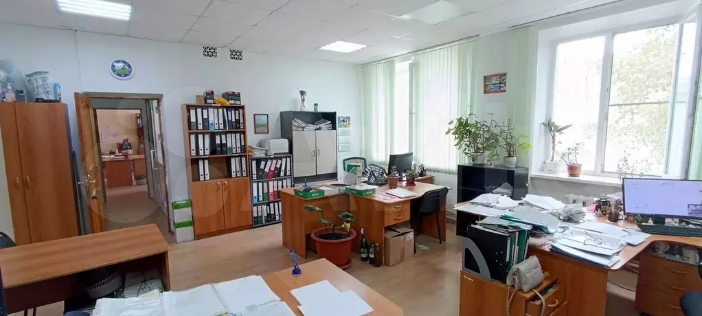 Офис, 31.9 м - Фото 1