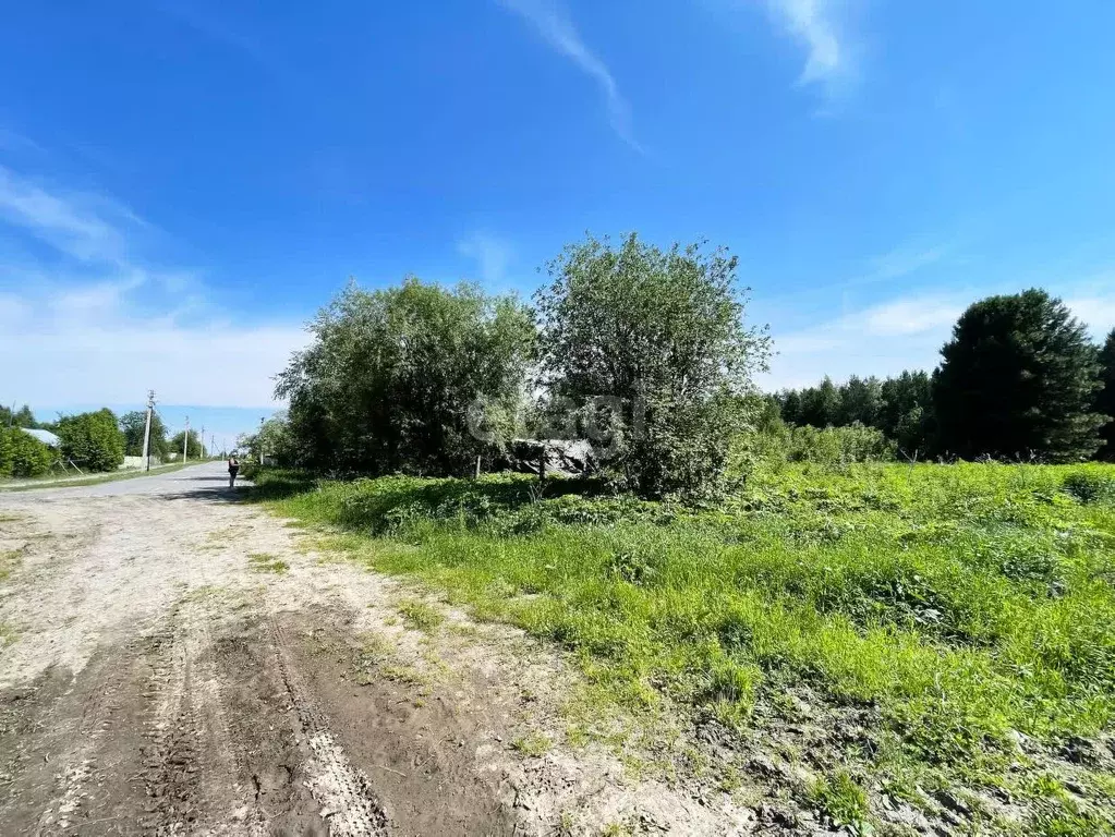 Участок в Ханты-Мансийский АО, Сургутский район, Тундрино с/пос, с. ... - Фото 2