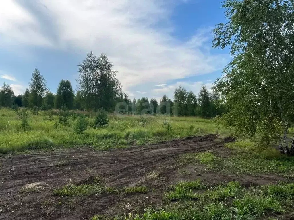 Участок в Тульская область, Киреевский район, Шварцевское с/пос, д. ... - Фото 1