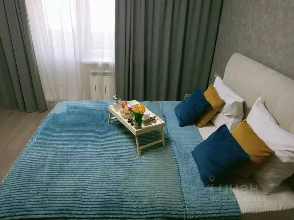 2-к кв. Саратовская область, Саратов ул. Имени С.Ф. Тархова, 29А (43.0 ... - Фото 0