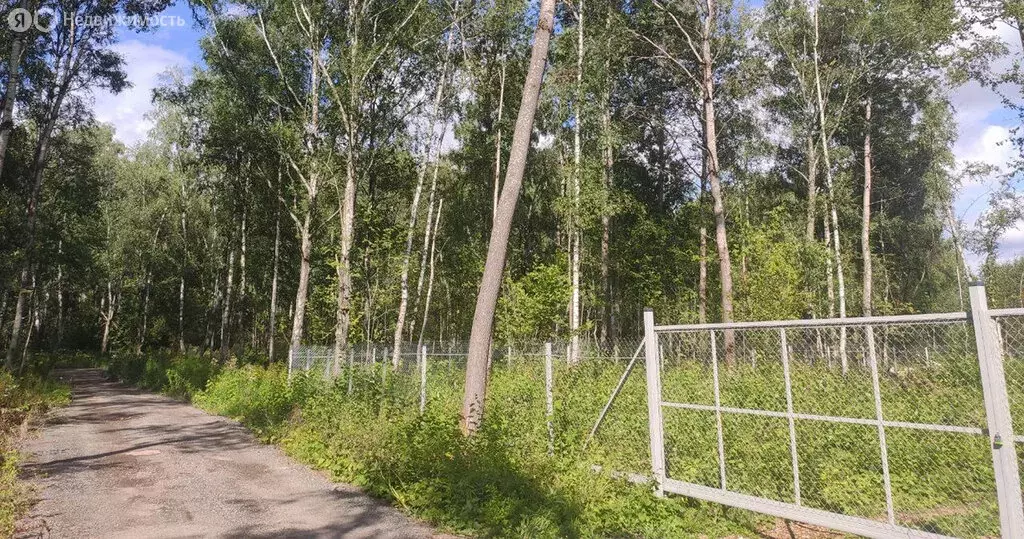 Участок в Московская область, городской округ Домодедово, деревня ... - Фото 1