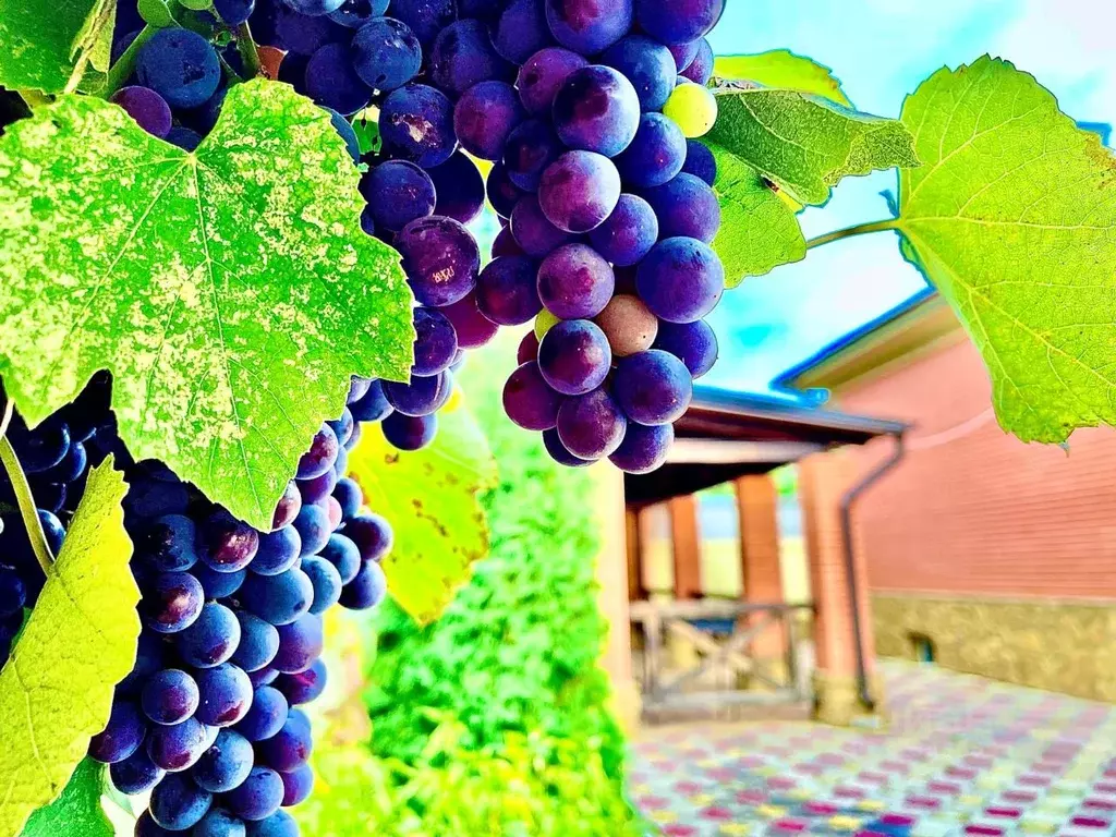 Коттедж в Ставропольский край, Кисловодск Замковая ул., 26А (150 м) - Фото 2