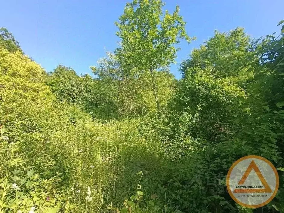 Участок в Краснодарский край, Туапсинский муниципальный округ, Надежда ... - Фото 1