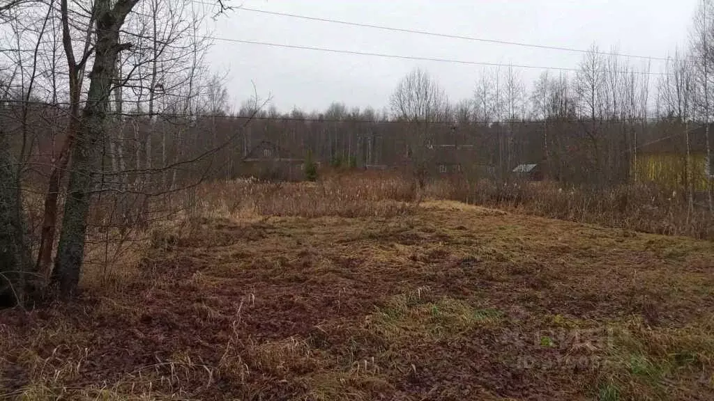 Участок в Новгородская область, Маловишерский район, Большевишерское ... - Фото 0
