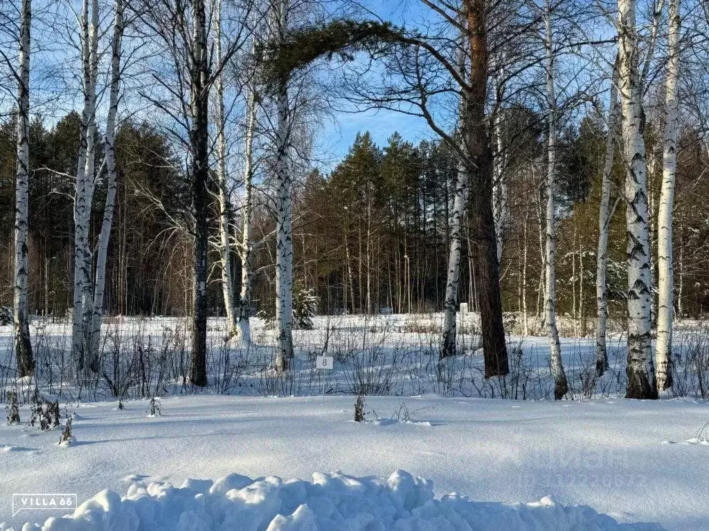 Участок в Свердловская область, Сысертский городской округ, пос. ... - Фото 0