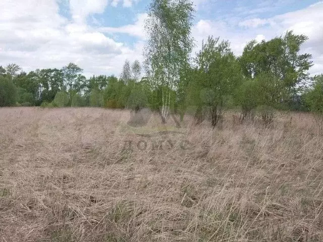 Участок 15 сот. (ИЖС) - Фото 1
