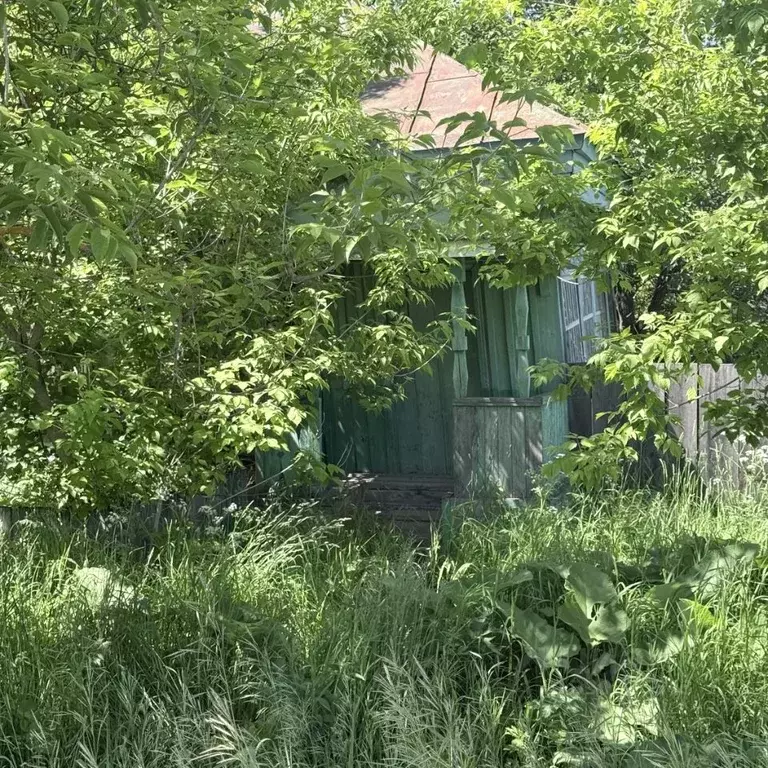 Участок в Рязанская область, Спасский муниципальный округ, с. Лакаш ... - Фото 1
