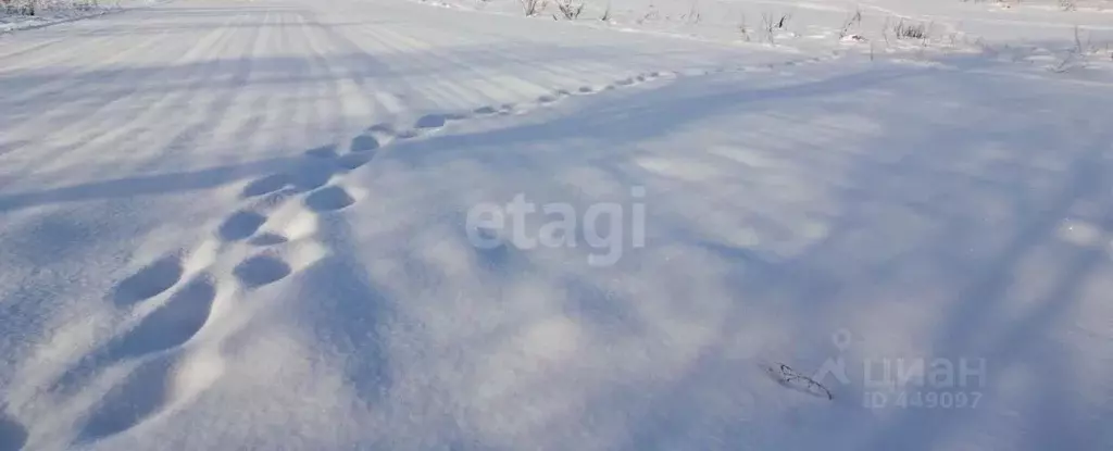 Участок в Смоленская область, Смоленск Подснежники садоводческое ... - Фото 1