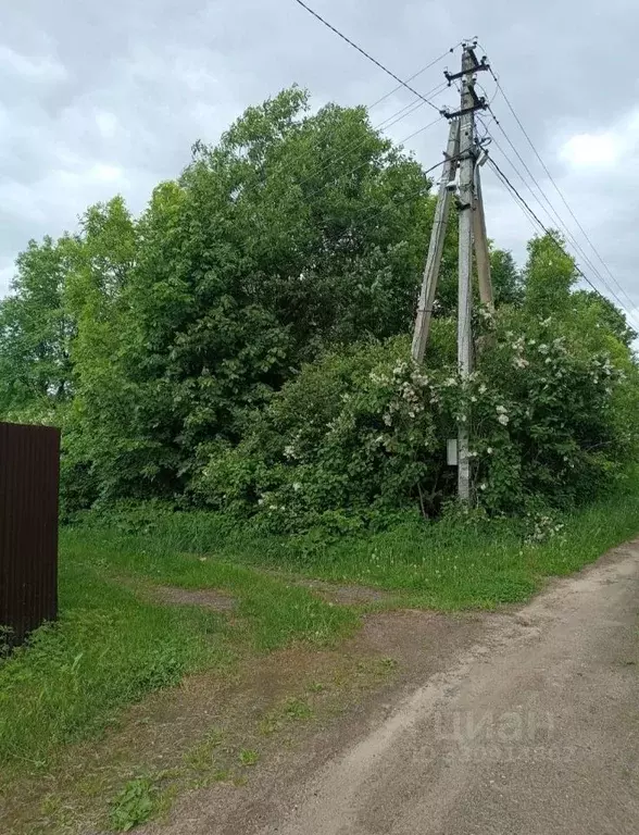 Участок в Московская область, Дмитровский муниципальный округ, д. ... - Фото 1